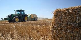 تجار: العراق يشتري 100 ألف طن من القمح الصلد من روسيا وكندا