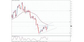 "ابيكورب" تحقق أداء مالياً قوياً خلال العام 2014