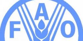 "فاو": 800 مليون جائع يبحثون عن الغذاء حول العالم