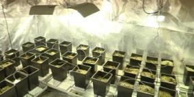 محافظ طولكرم لـ"رايـة": سيتم الاعلان عن المتورطين في قضية المخدرات قريبا