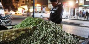 "الوضع لوز".. غزة تنتج 920 طنا من اللوز الاخضر