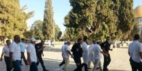 مستوطنون يجددون اقتحامهم للأقصى والاحتلال يغلقه بوجه المواطنين