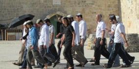 مستوطنون يقتحمون حوش الشهابي قرب الأقصى