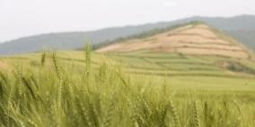 تلفزيون: إيران تستورد بين 1.5 مليون ومليوني طن قمح في عام حتي مارس 2016