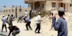 أغنام المستوطنين تلحق أضرارا بمزروعات المواطنين شرق يطا