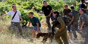 مستوطنون يعيثون خرابا في أراضي غرب بيت لحم