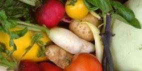 الأردن تدرس تسهيل دخول المنتجات الفلسطينية لأراضيها