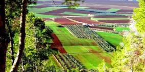 طفولة قديمة المتوكل طه