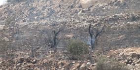 مستوطنون يحرقون اراضي جنوب نابلس