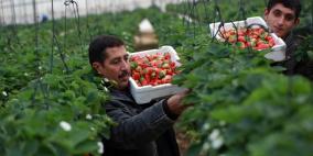 محافظ طولكرم عصام أبو بكر يعلن عن إنطلاق  منتدى تنمية القطاع الزراعي