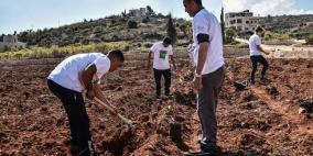 المليون شجرة الثالثة تزرع أراض بيت أمر لحمايتها من المصادرة