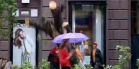 بالفيديو .. كادوا ان يقتلوا فتاة عند اسقاطهم جذع شجرة!