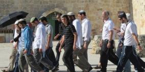 اقتحامات جديدة للأقصى ومشاركة واسعة في صلاتي التراويح والفجر