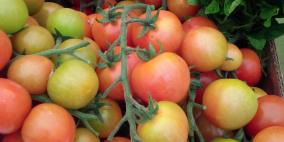 صور من معرض بردلة الزراعي والتراثي 2014‎