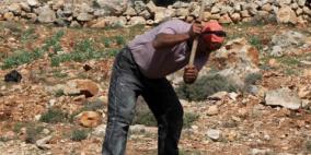 'الزراعة' توزع أدوات حدائق منزلية لمزارعات من الخليل