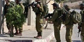 الاحتلال يعتقل ثلاثة شبان وفتى في الخليل