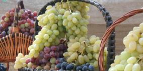 اختتام مهرجان العنب الفلسطيني 2015