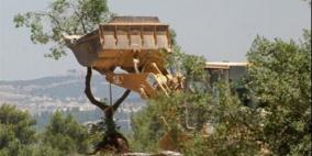 مستوطنون يجرفون أراضي المواطنين في سوسيا جنوب الخليل