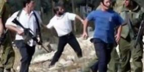 مستوطنون يدمرون أشجار زيتون غرب بيت لحم