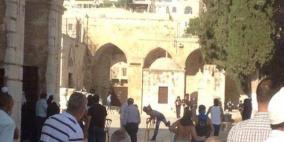 الاحتلال يفتح بوابات الأقصى ويسمح بدخول المواطنين إليه