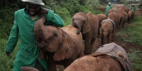 أفضل عشر صور لناشونال جيوغرافيك