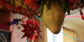 نابلس: صور لاحتفال السامريون بعيد العرش