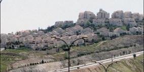 مخطط جديد لتوسيع مستوطنة معليه زيتيم في رأس العامود