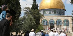 اقتحامات جديدة للأقصى واعتقالات في القدس القديمة