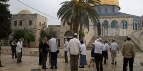 حراس الأقصى يمنعون المتطرف فيجلين من اقتحام مسجد الصخرة