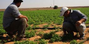 غزة: اصابة مزارع برصاص الاحتلال