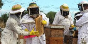 صور: رايــة تشارك المزارعين في جني العسل بقطاع غزة