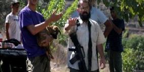 مستوطنون يعتدون على مزارعين جنوب الخليل والاحتلال يعتقل اثنين منهم