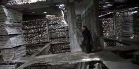 فنانة هولندية تحول الدمار الى تحفة فنية في غزة