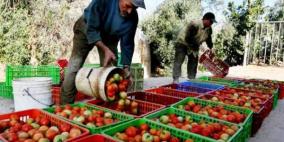 شركات فلسطينية تصدر ماقيمته 7.5 مليون دولار للخارج