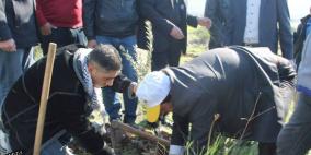 ضمن احياء فعاليات يوم الشجرة محافظ طولكرم ازرع شجرة تحمي ارضك