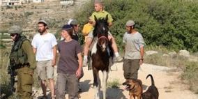 مستوطنون يهاجمون رعاة جنوب نابلس