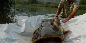 اسماك مخيفة