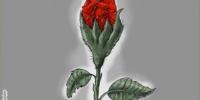 محمد سباعنة