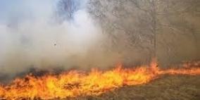 إخماد حريق في منطقة جبلية غرب الخليل