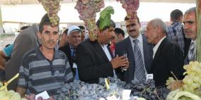 في يومه الثاني .. مهرجان العنب يلقى حضوراً مميزاً