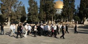 أكثر من 150 مستوطن يقتحمون المسجد الأقصى