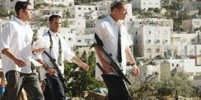 مستوطنون مسلحون يهاجمون مزارعين في بلدة بيت أمر بالخليل