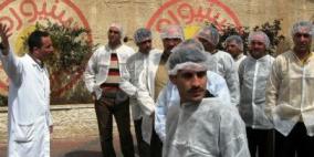 شركة سنيورة للصناعات الغذائية تطرح عروض جديدة لمنتجاتها