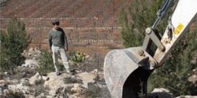 تضرر 120 شجرة عنب في الخضر إثر رعيها من قبل مواشي المستوطنين