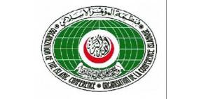 "التعاون الإسلامي" توزع طرودا غذائية للعائلات الفقيرة في غزة