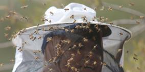 نحّالات كفر مالك.. ايدي من عسل