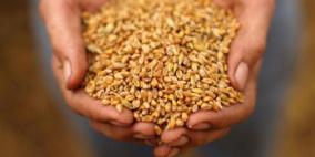 انخفاض حاد لمحصول الجزائر من الحبوب