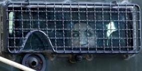 الأسيرة الجريحة العدم في وضع صحي خطير