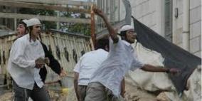 مستوطنون يحرقون ستة سيارات في قصرة