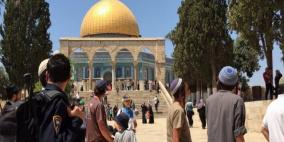 "منظمات الهيكل" تنفذ تدريبات "ذبح قرابين الفصح" قبالة الأقصى